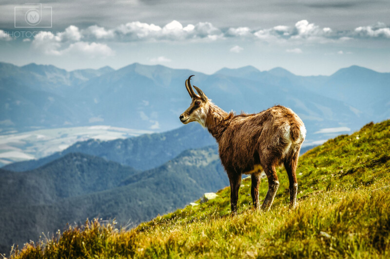 180705_LT_Hreben_08-Edit-Edit-2-1
