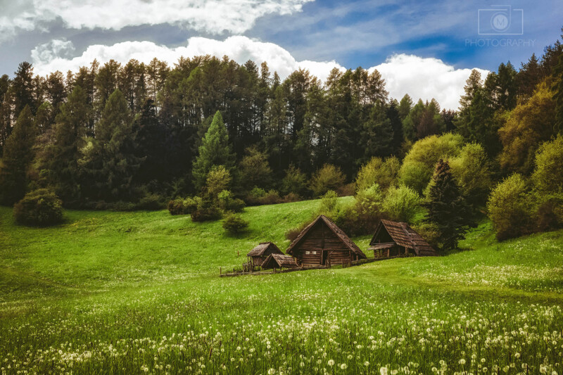 230520_Havranok_10